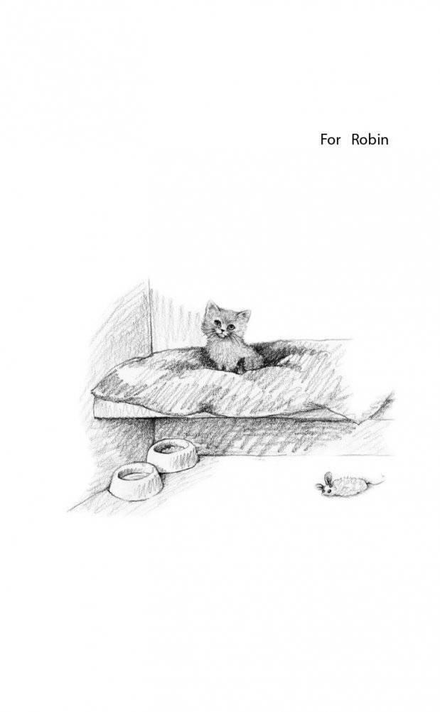 Котёнок Одуванчик, или Игра в прятки = Smudge the Stolen Kitten фото книги 7