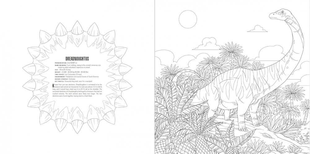 Animals Coloring Book Box Set фото книги 4
