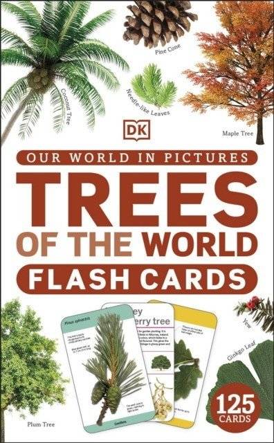 Our World in Pictures: Trees Flash Cards | Our World in Pictures: Trees Flash Cards
