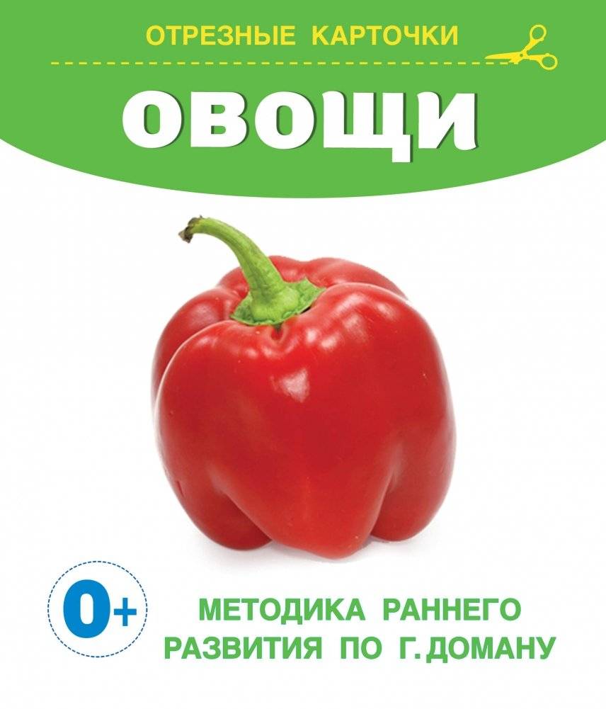 Овощи | Vegetables