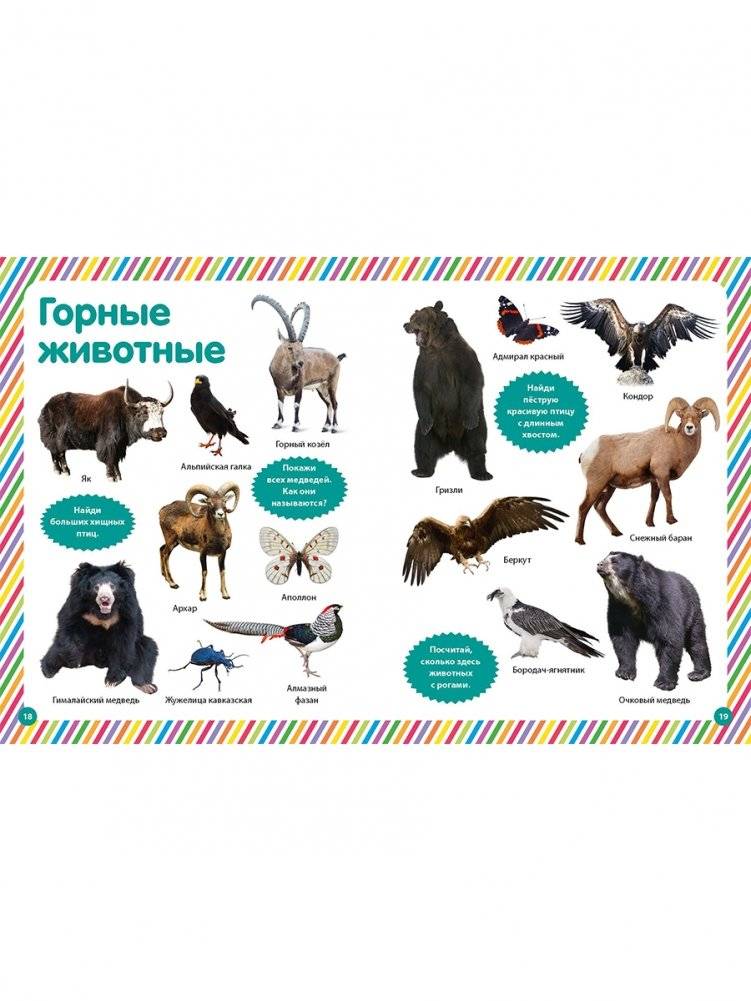 Моя первая фотокнига. Животные фото книги 5