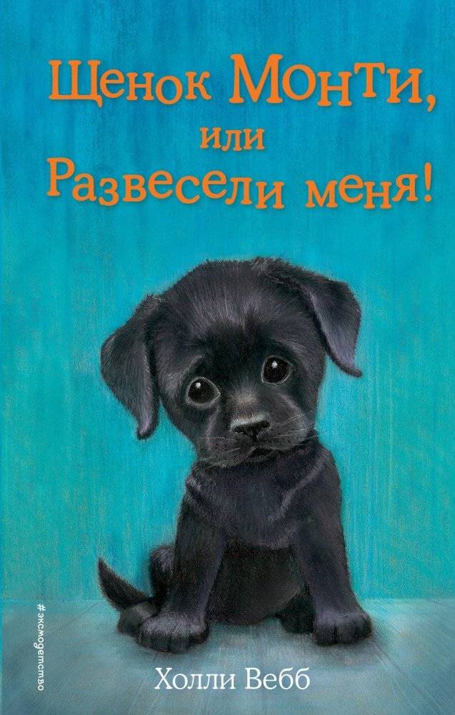 Щенок Монти, или Развесели меня! | Monty's Puppy, or Cheer Me Up!