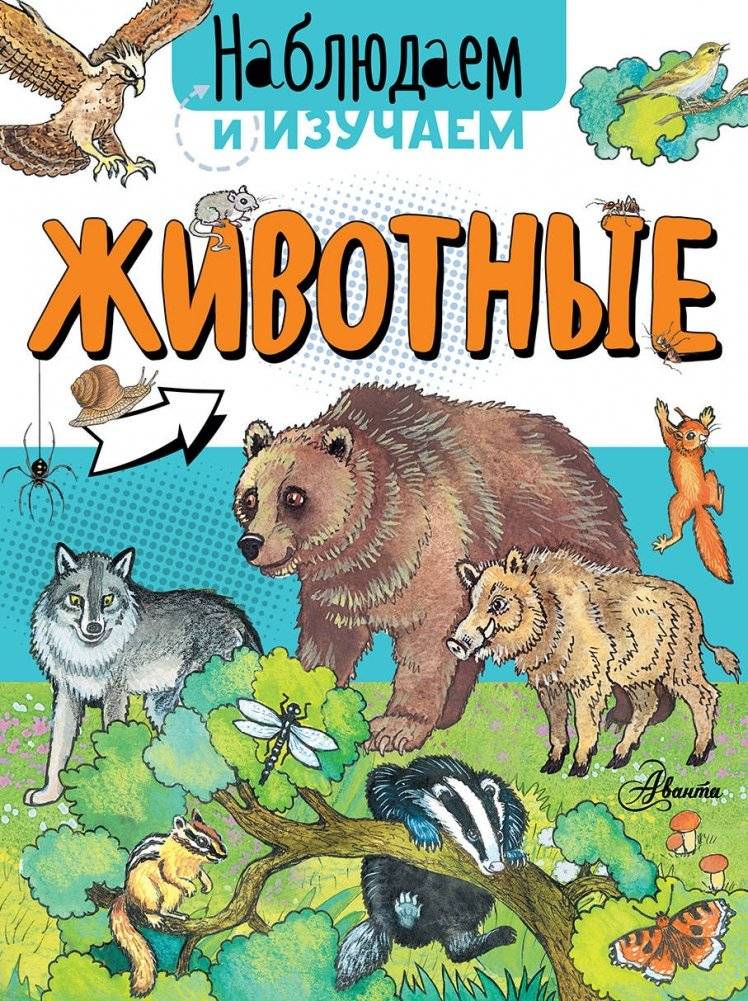 Животные | Animals