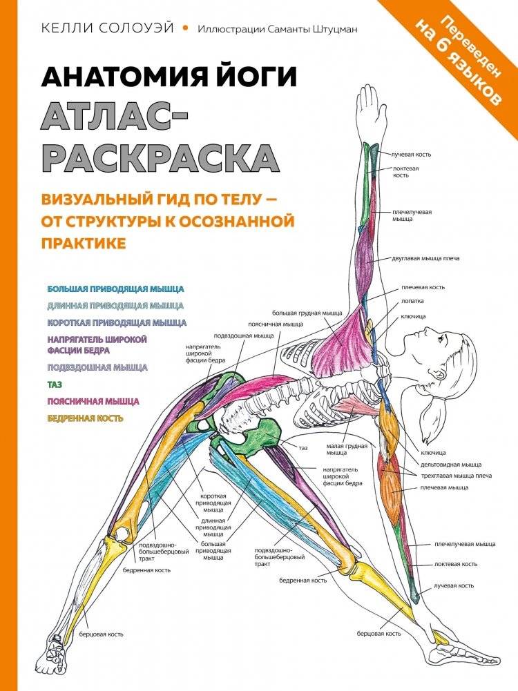 Анатомия йоги. Атлас-раскраска. Визуальный гид по телу — от структуры к осознанной практике | Yoga Anatomy: A Coloring Atlas. A Visual Guide to the Body for Conscious Practice