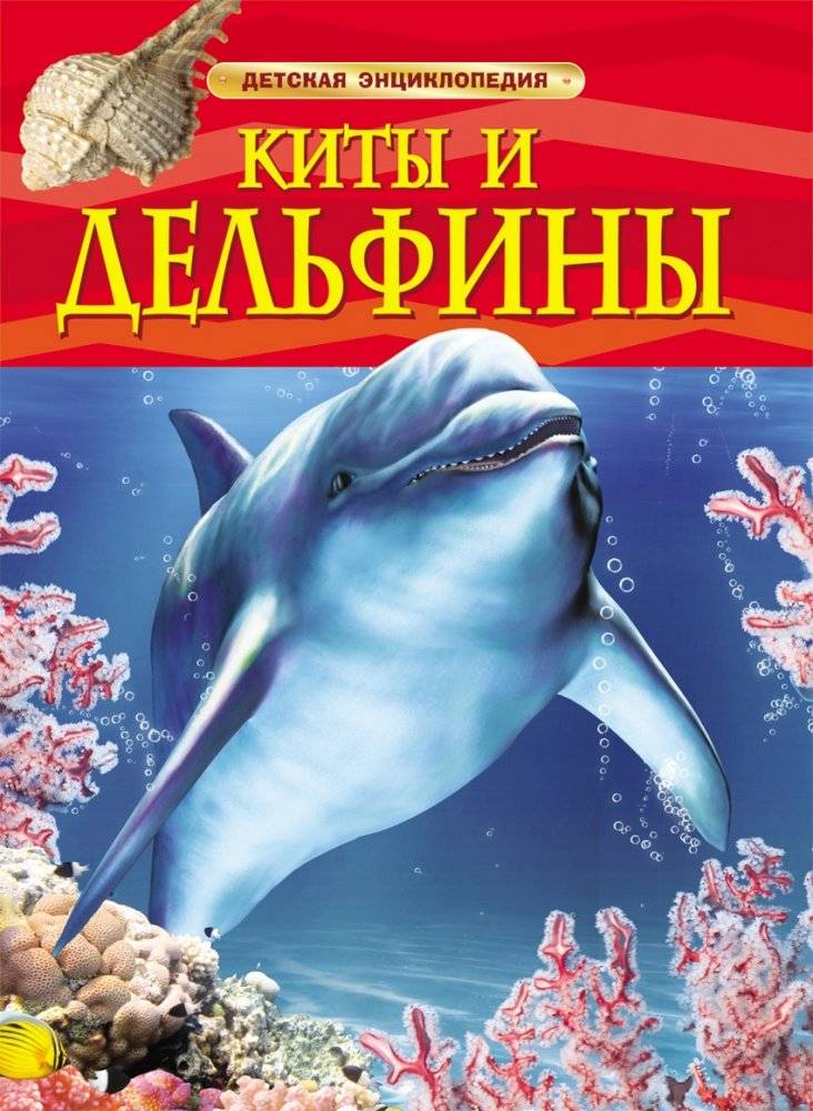 Киты и дельфины. Детская энциклопедия | Whales and Dolphins: Children's Encyclopedia