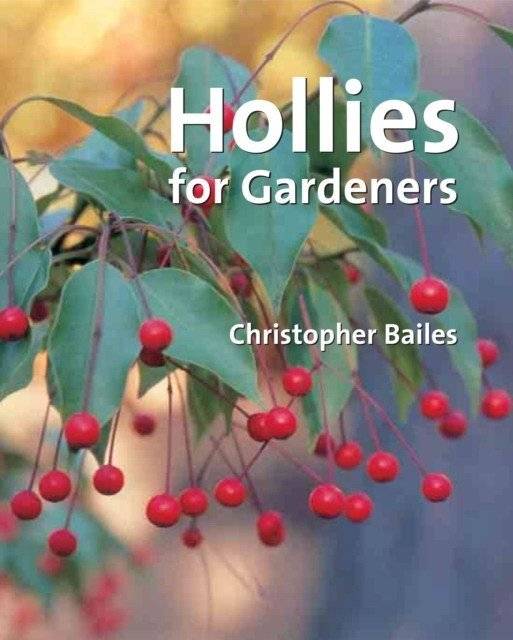 Холлии для садовников | Hollies for gardeners