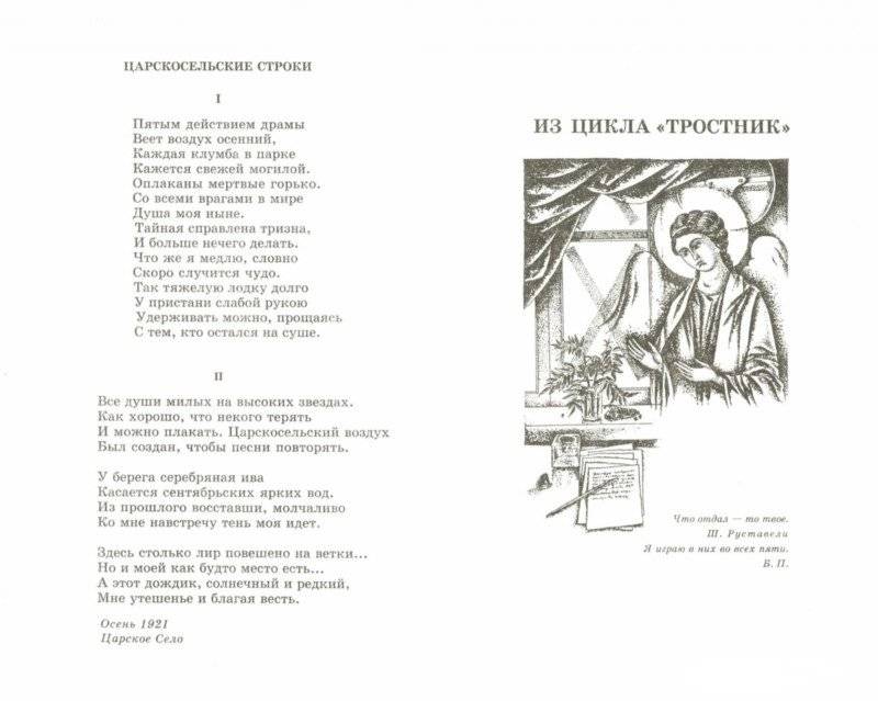 Стихотворения и поэмы фото книги 2