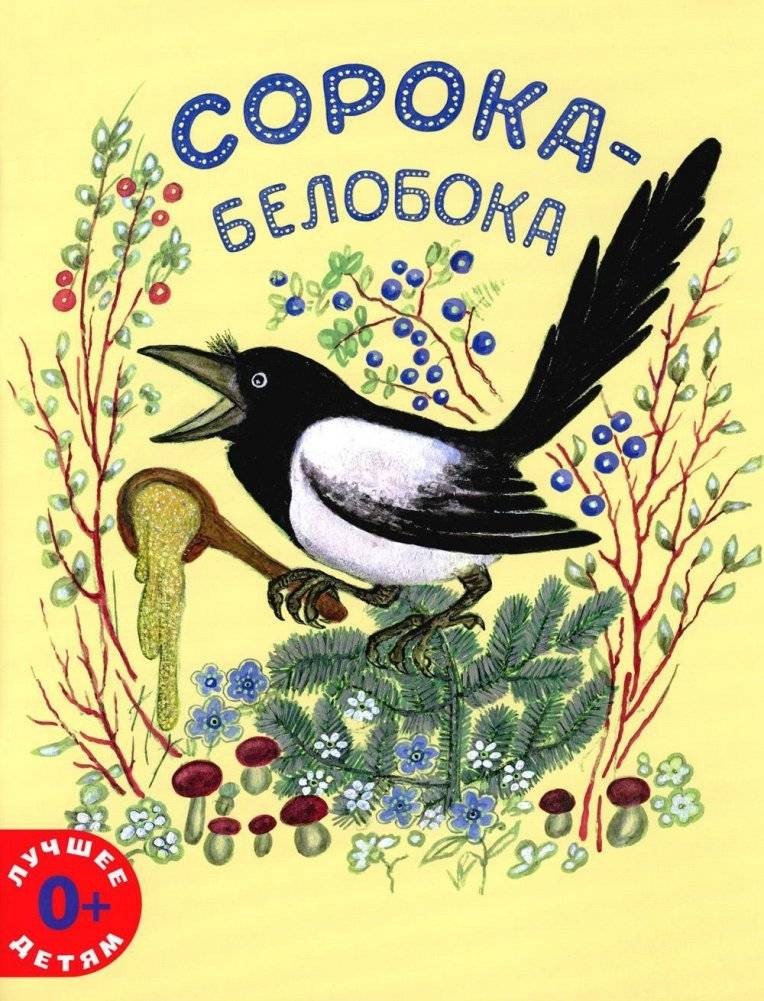 Сорока-белобока | Magpie White-Side