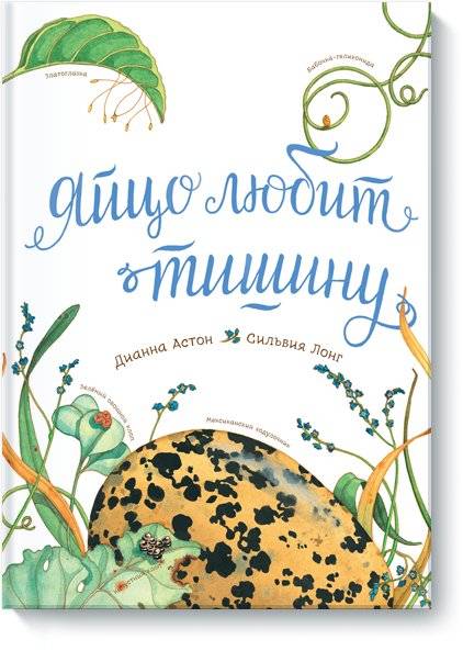 Яйцо любит тишину | The Egg Loves Silence