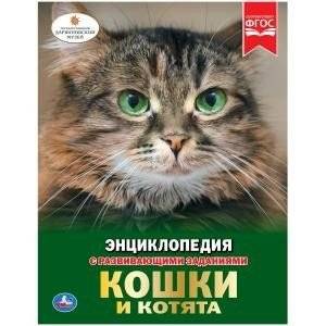 Кошки и котята | Cats and Kittens