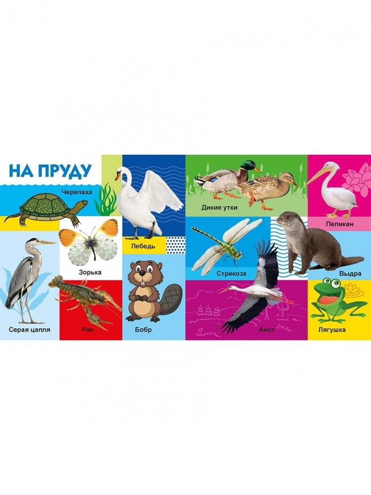 Твои любимые книжки. Животные фото книги 4