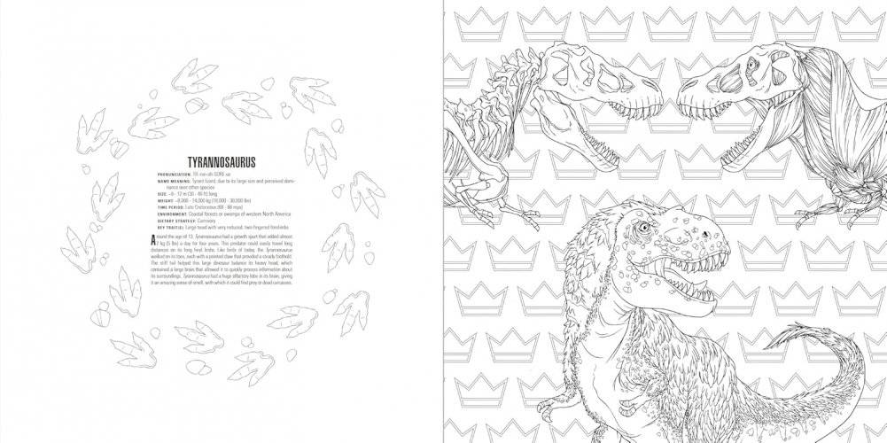 Animals Coloring Book Box Set фото книги 3