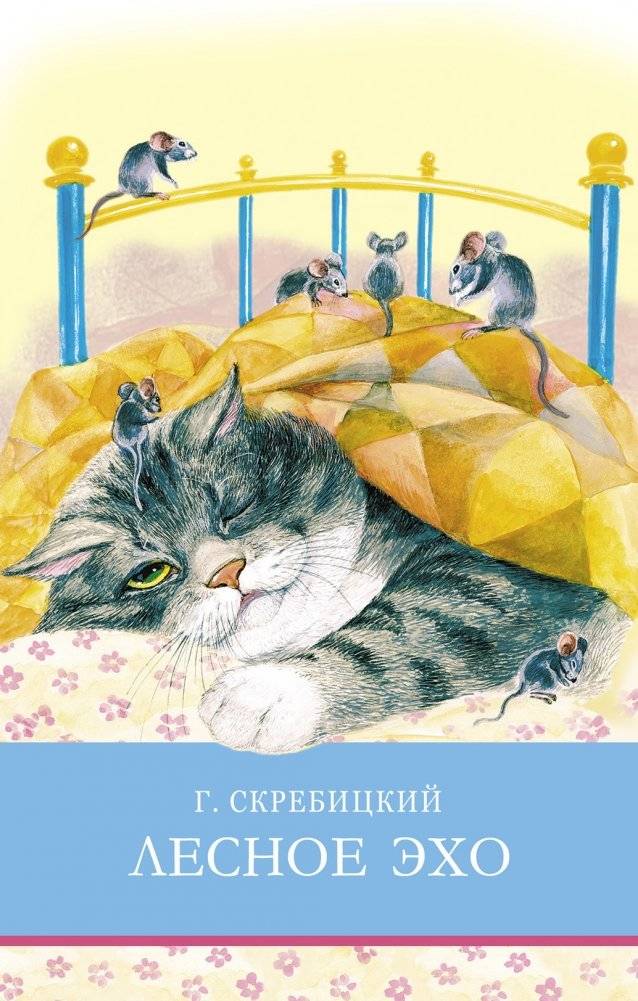 Лесное эхо | Forest Echo