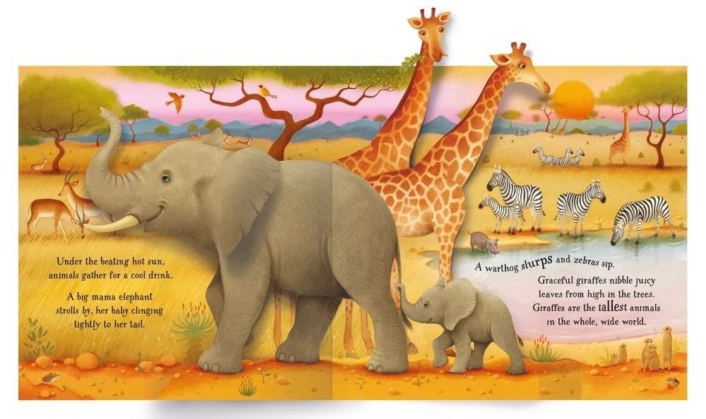 Pop-Up Animals фото книги 2