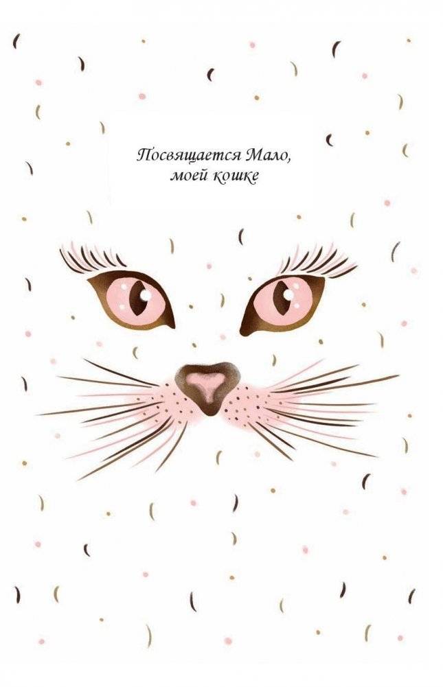 Кошачья мудрость. Хюгге-дневник фото книги 2