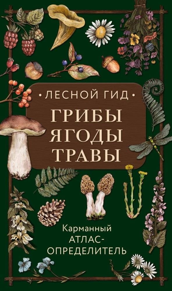 Лесной гид: грибы, ягоды, травы. Карманный атлас-определитель | Forest Guide: Mushrooms, Berries, Herbs. Pocket Identification Atlas
