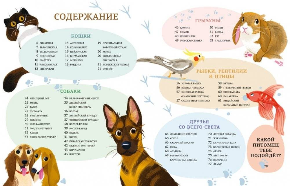 Все-все-все домашние питомцы фото книги 2