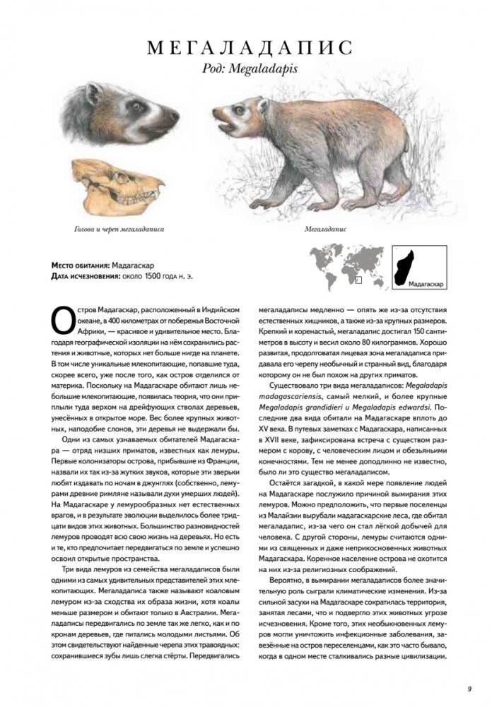 Книга исчезнувших животных. BIObook А. Толмачёва фото книги 6
