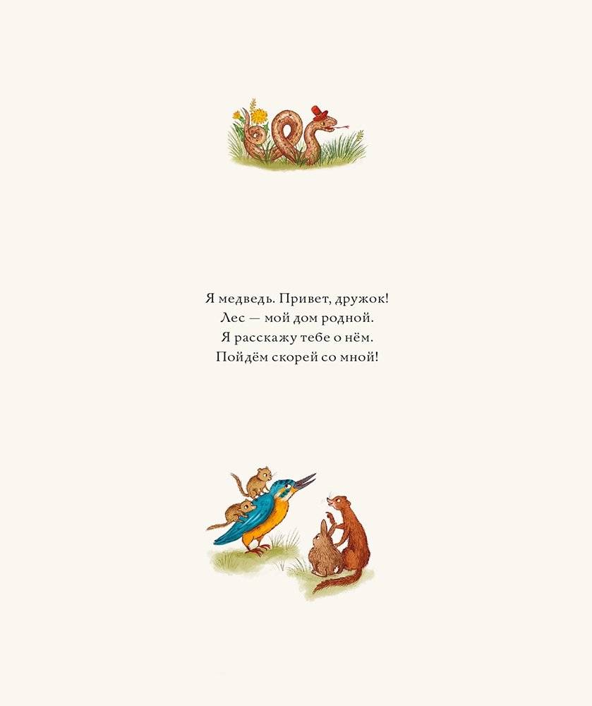 Круглый год в лесу. Виммельбух фото книги 3