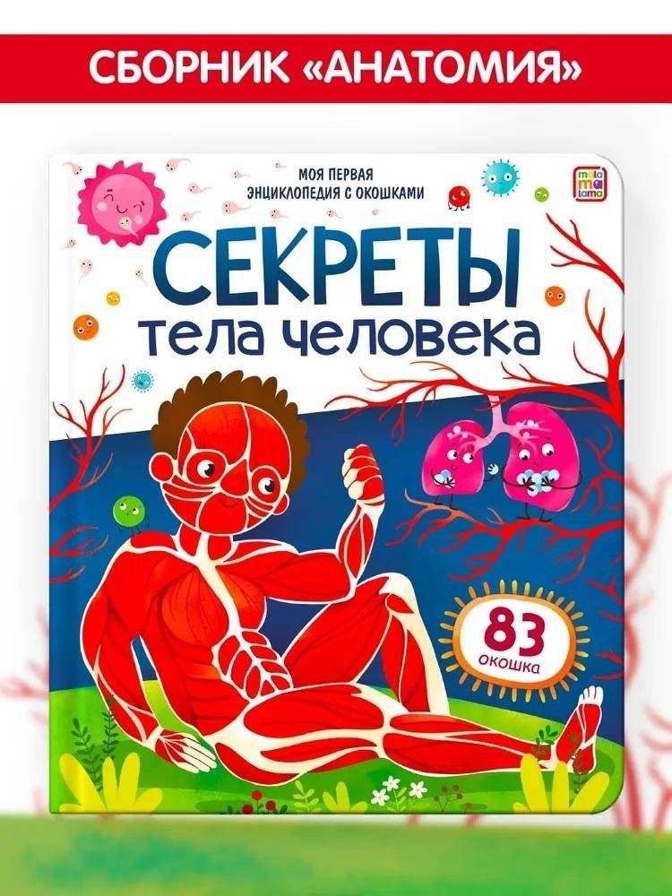 Секреты тела человека | Secrets of the Human Body