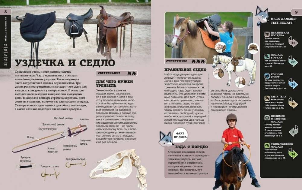 Лошади фото книги 5