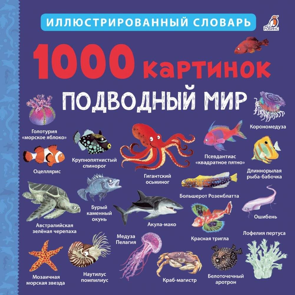 1000 картинок. Подводный мир | 1000 Pictures: Underwater World