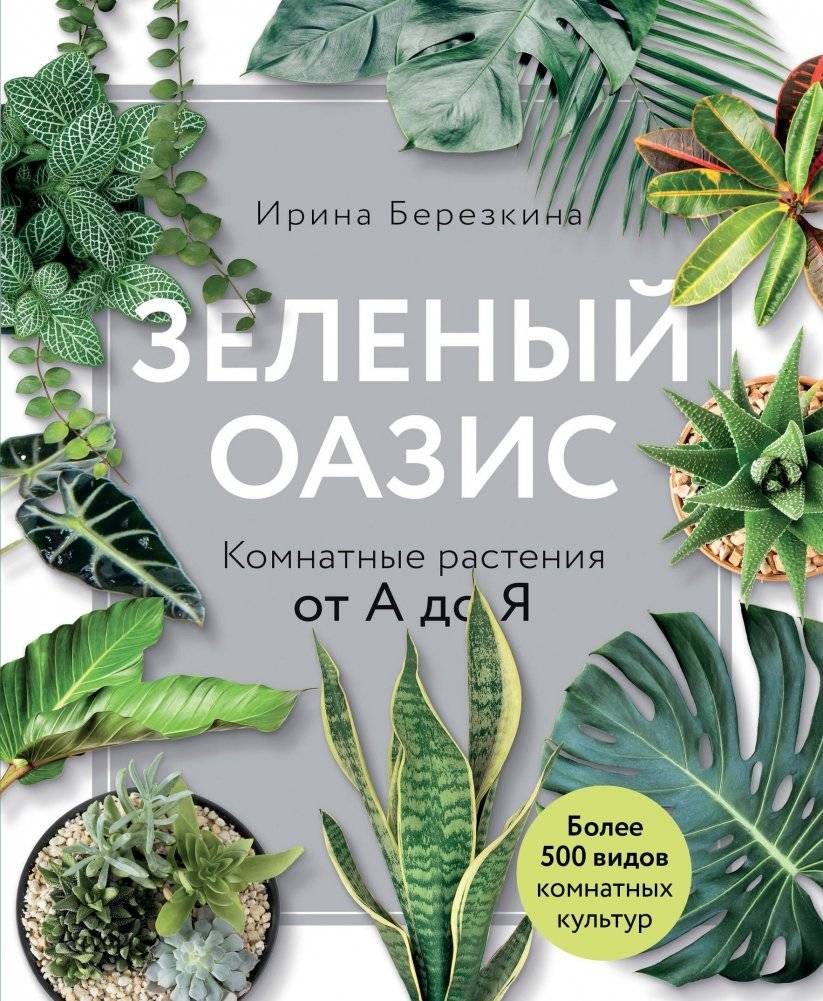 Зеленый оазис. Комнатные растения от А до Я | Green Oasis: Houseplants A to Z