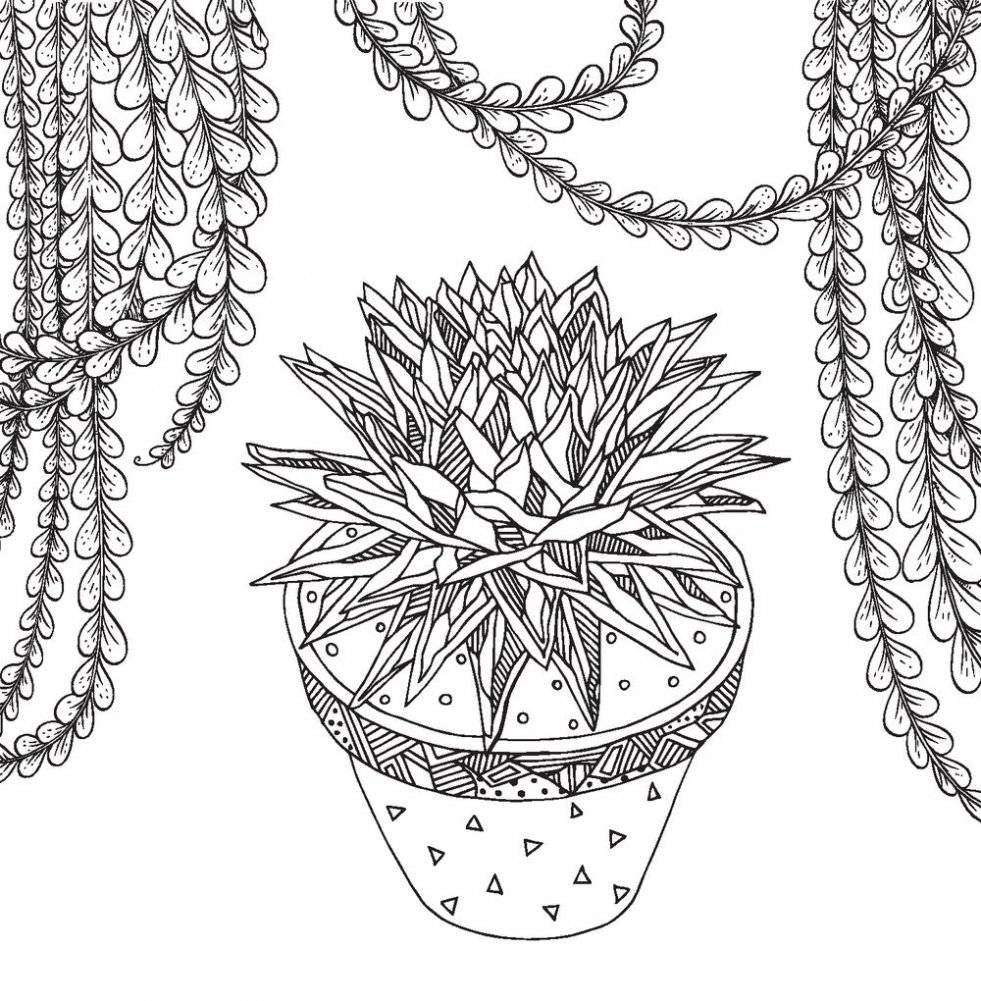 Cactus party. Раскраска-оазис для творчества и вдохновения фото книги 5
