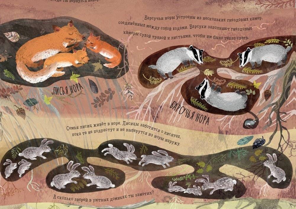 Что скрыто под асфальтом? Книга-раскладушка фото книги 3