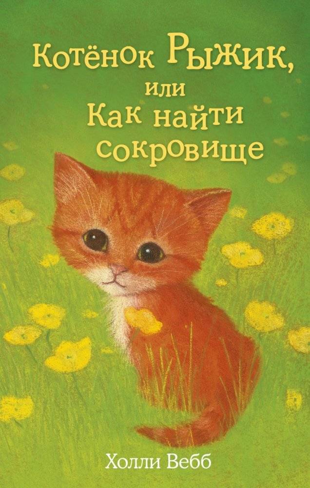 Котёнок Рыжик, или Как найти сокровище | Ryzhik the Kitten, or How to Find a Treasure