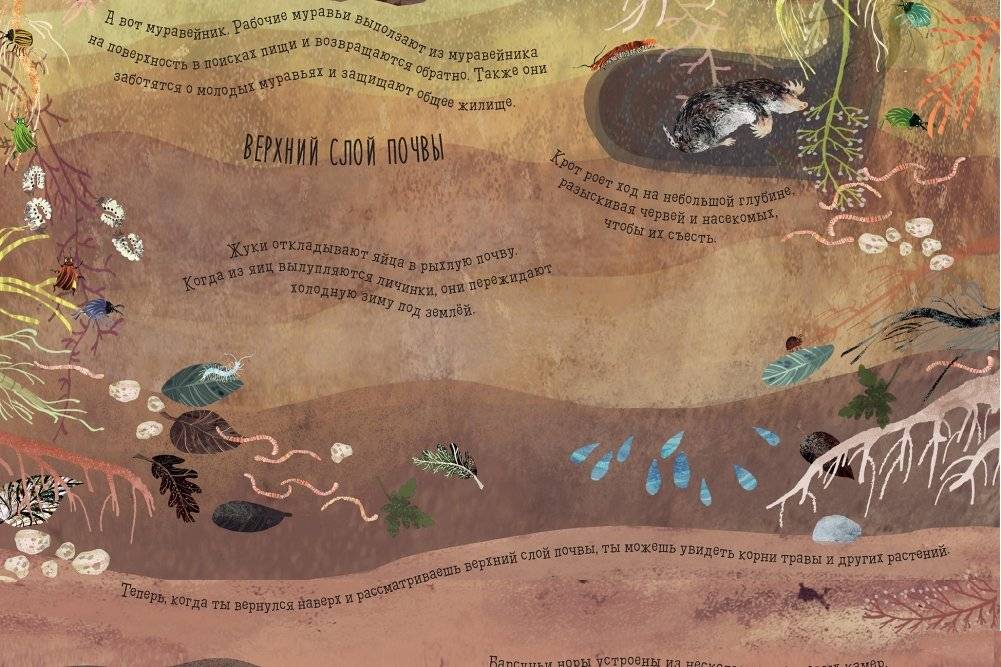Что скрыто под асфальтом? Книга-раскладушка фото книги 2