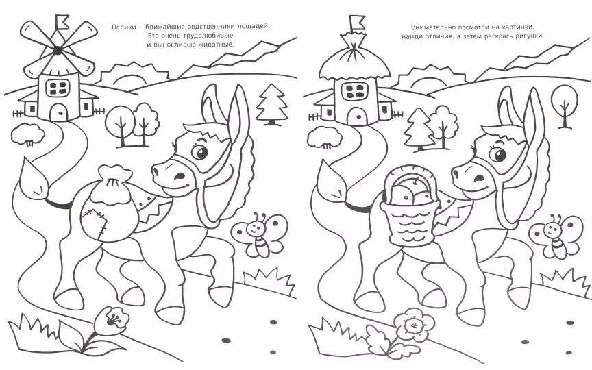 Развивающая раскраска фото книги 2