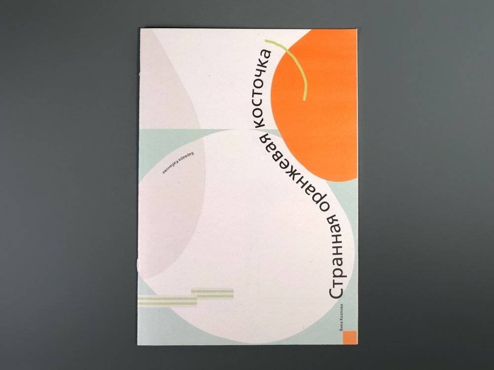 Странная оранжевая косточка фото книги 2
