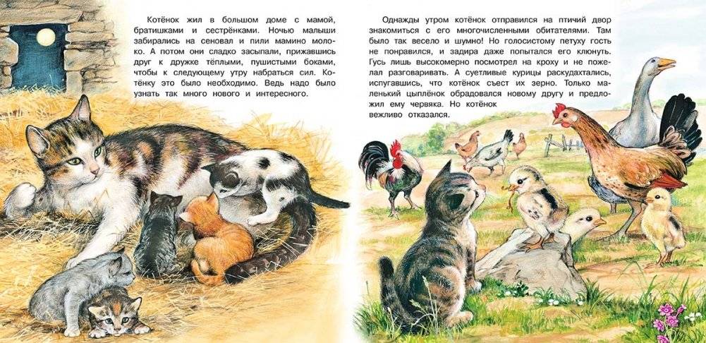 Приключения котенка фото книги 3
