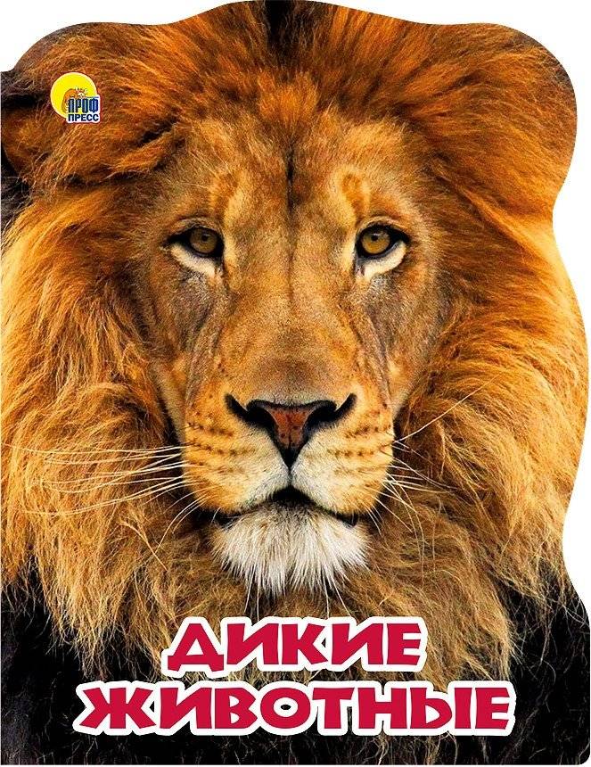 Мир животных. Дикие животные | Animal World: Wild Animals