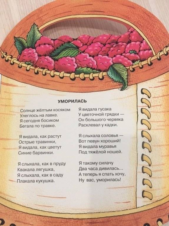 По малину фото книги 4