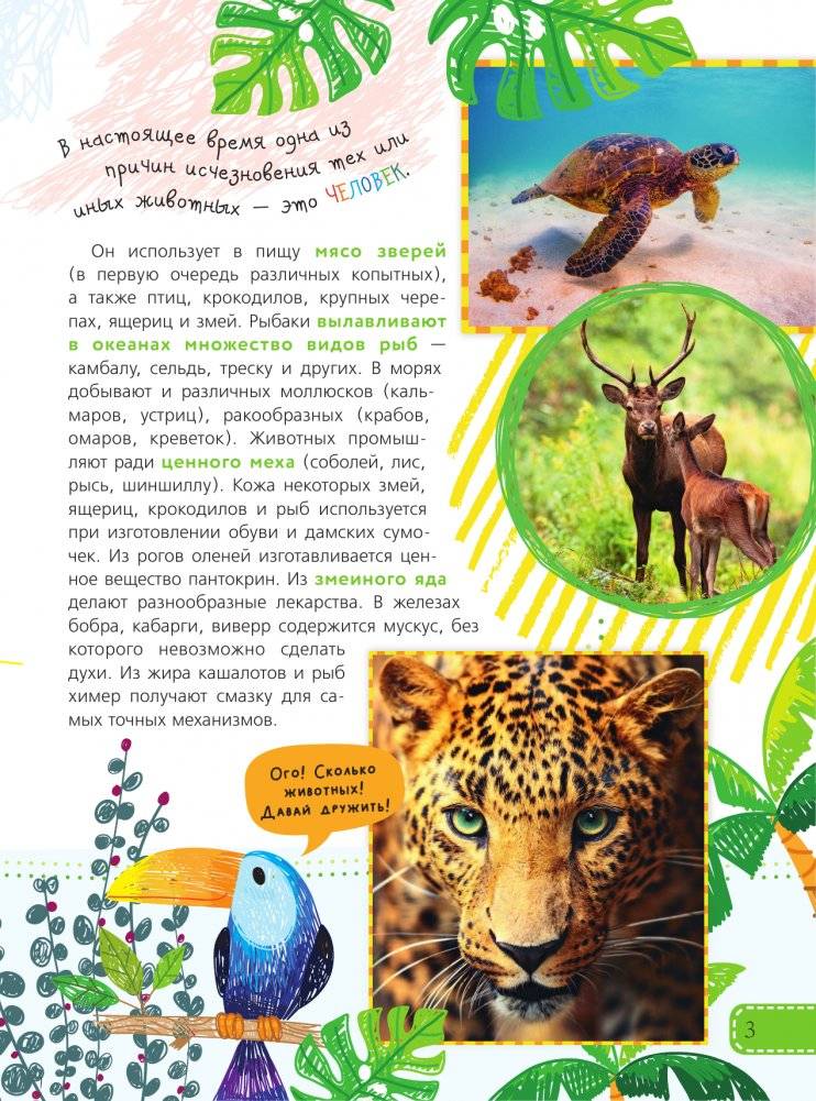 Красная книга для малышей фото книги 4