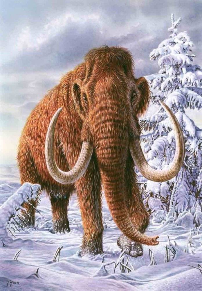 Книга исчезнувших животных. BIObook А. Толмачёва фото книги 3