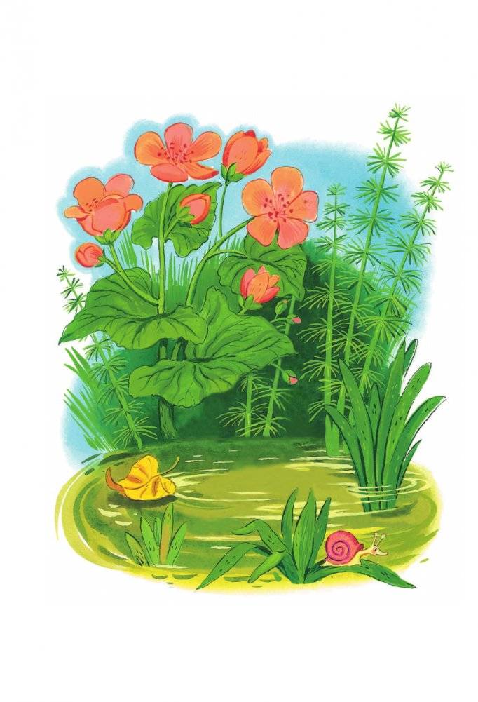 Сказки и стихи для самых маленьких фото книги 3