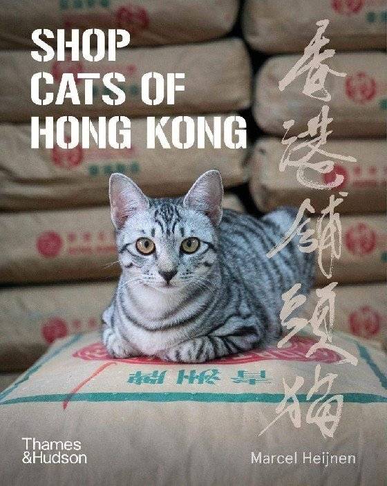 Shop Cats of Hong Kong фото книги