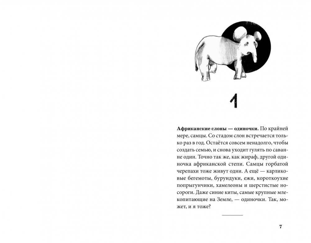 Лето с Вуком фото книги 3