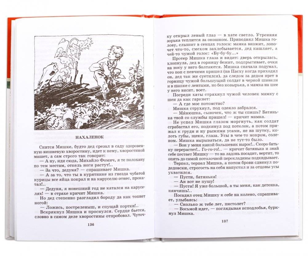 Донские рассказы. Судьба человека фото книги 3