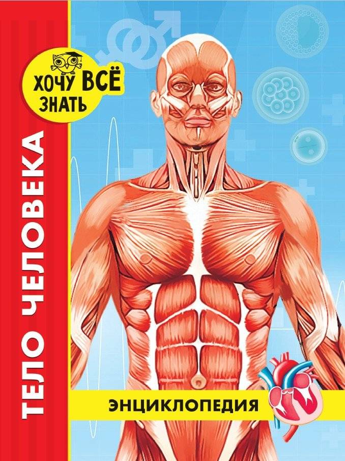 Энциклопедия. Тело человека | Encyclopedia: The Human Body