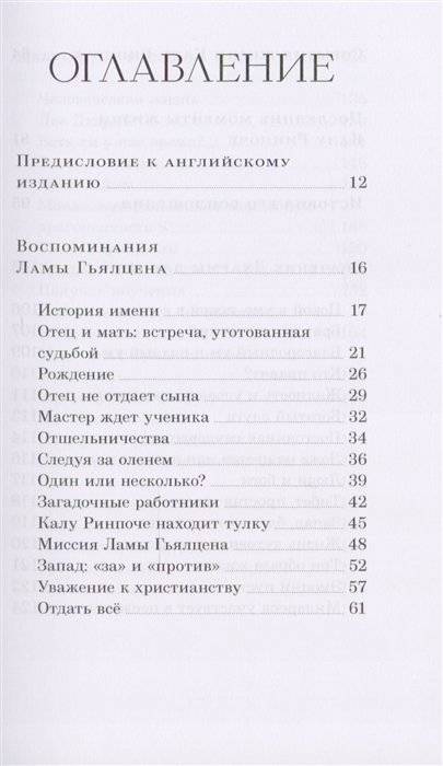 Совершенный буддизм. Жизнь, достойная подражания фото книги 5