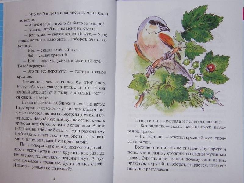 Сказки из леса фото книги 4