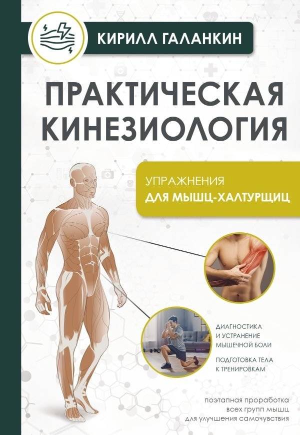 Практическая кинезиология. Упражнения для мышц-халтурщиц | Practical Kinesiology: Exercises for Muscle Health