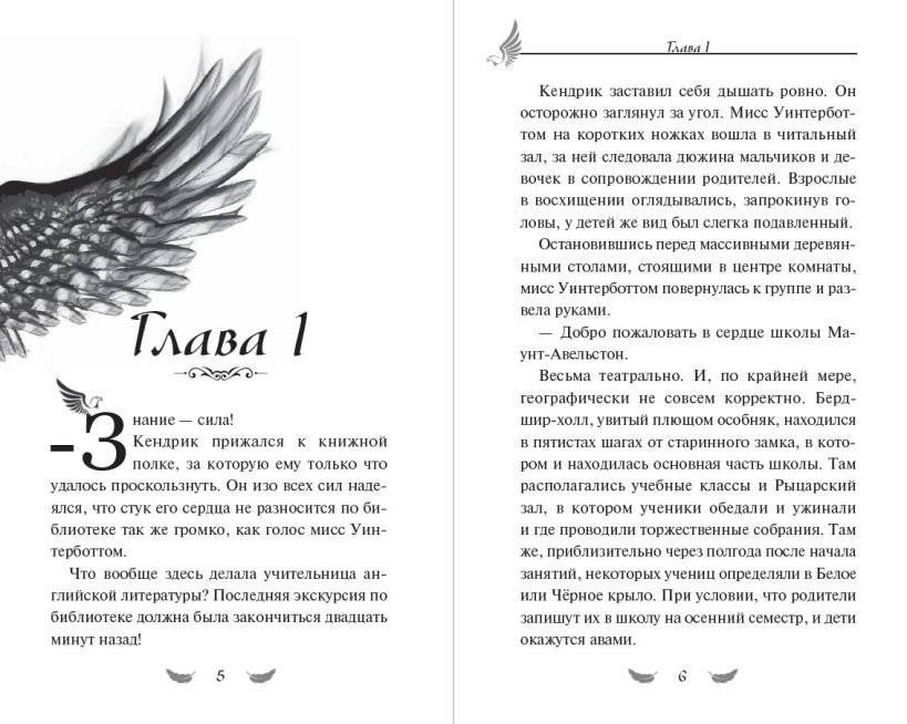 Соколиный пик. Око бури (#3) фото книги 2