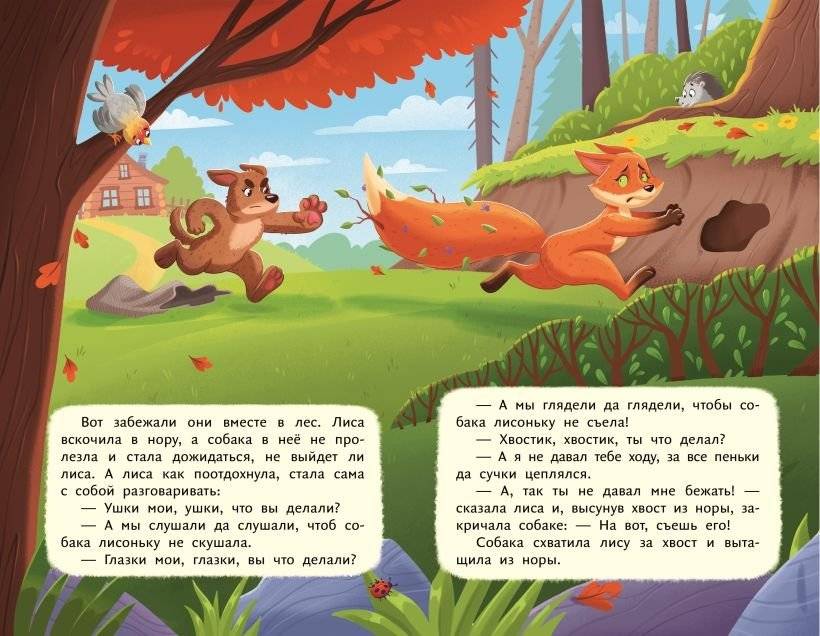 Лисичка со скалочкой (ил. Е. Барышниковой) фото книги 7