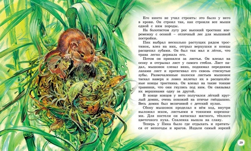 Сказки и рассказы о животных фото книги 4