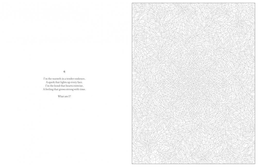Mystery Coloring Mandalas фото книги 5